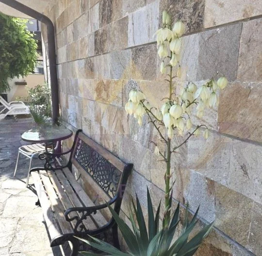 Хотел, гр Приморско, област Бургас -  - снимка 16 - Имоти Премиер