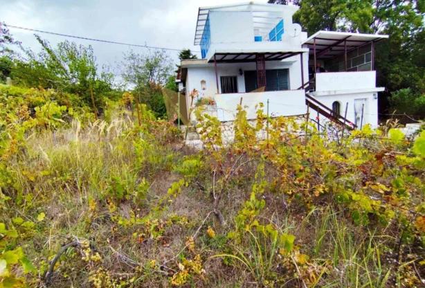 Агенция за недвижими имоти - Имоти Премиер - имот - 1083865, Цена: 100000 EUR