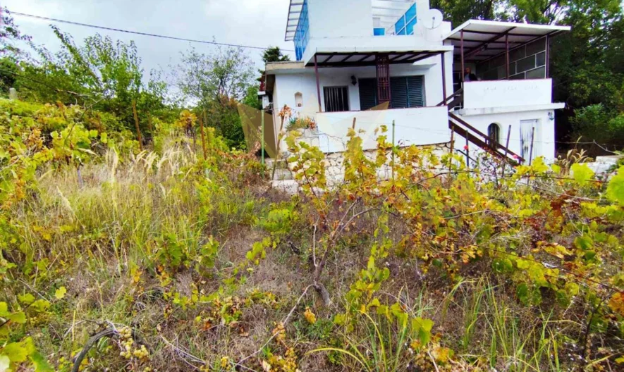 Имот на Средна Трака - - снимка 2 - Имоти Премиер