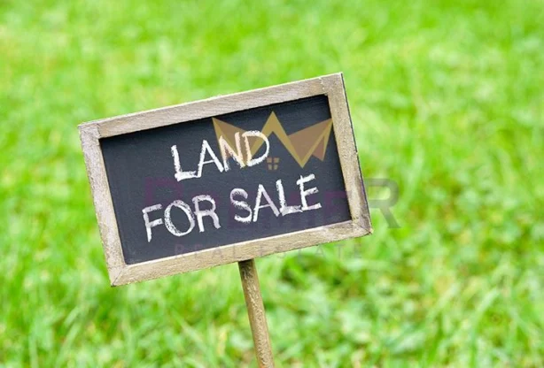 Имоти Премиер - имот - 731107, Площ: 2935 м<sup>2</sup>, Цена: 160000 EUR