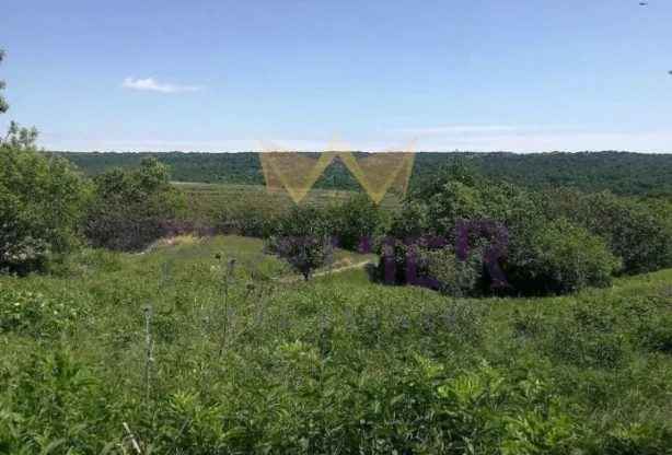 Агенция за недвижими имоти - Имоти Премиер - имот - 1166415, Цена: 53500 EUR