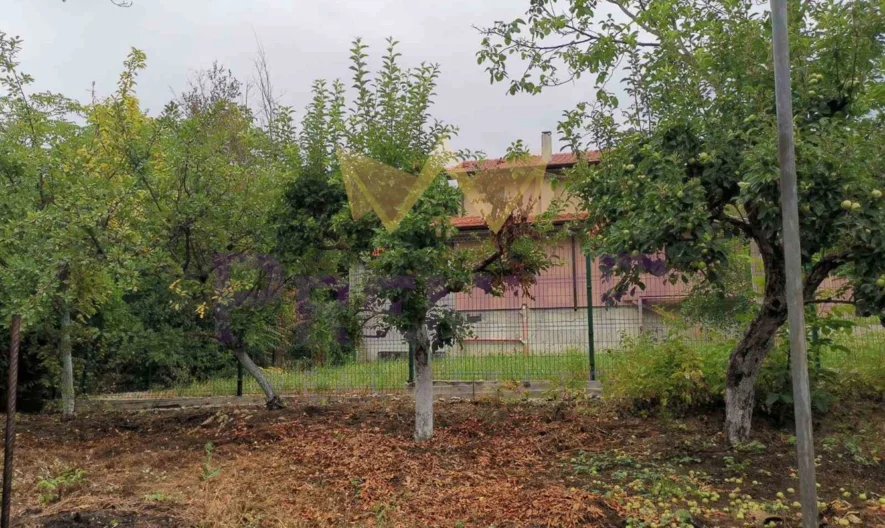 Къща - - снимка 10 - Имоти Премиер