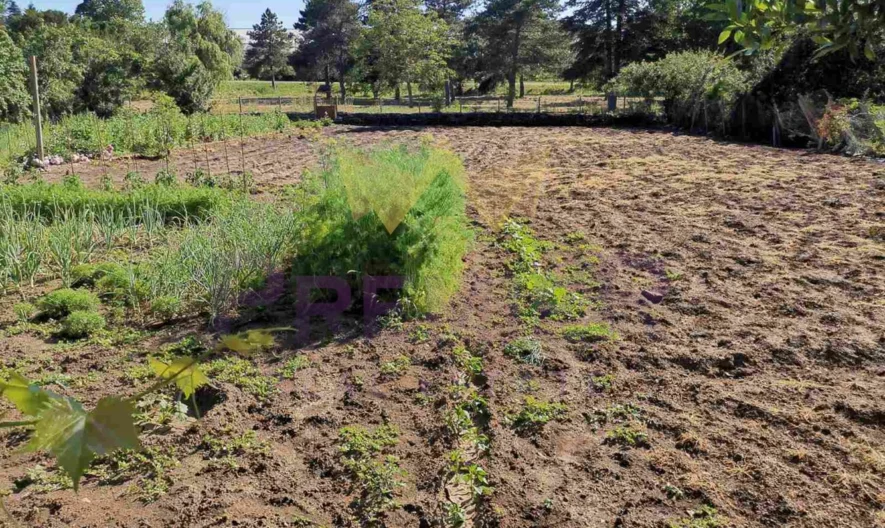 Къща -  - снимка 10 - Имоти Премиер