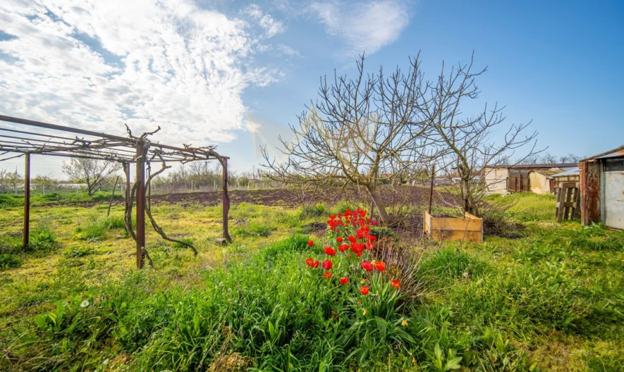 Къща (105 кв.м.) с двор (2514 кв.м.) в с. Селце, общ. Каварна, обл. Добрич. -  - снимка 15 - Имоти Премиер