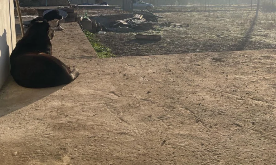 Къща 35кв.м. парцел-1600кв.м. гр. Суворово -  - снимка 5 - Имоти Премиер