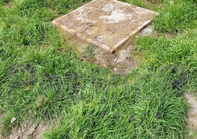 Къща 35кв.м. парцел-1600кв.м. гр. Суворово -  - снимка 8 - Имоти Премиер