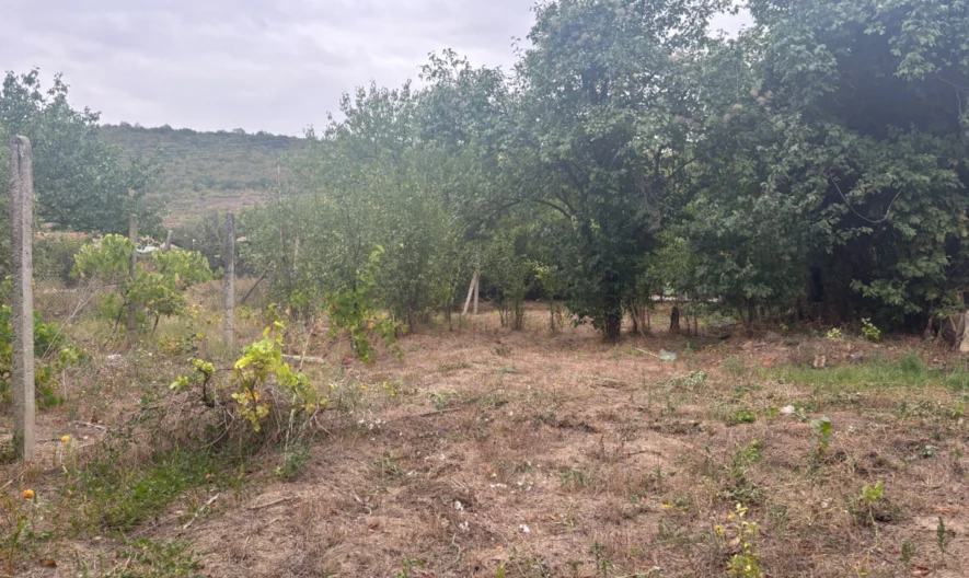 Къща до Варна -  - снимка 3 - Имоти Премиер