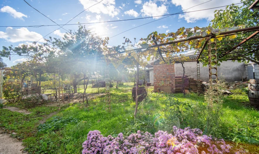 Къща град Шабла -  - снимка 3 - Имоти Премиер