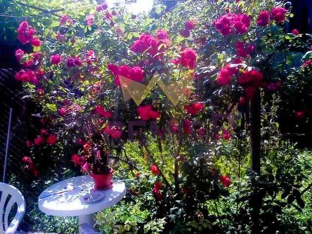 Къща ,   кв.Трошево   гр Варна -  - снимка 6 - Имоти Премиер