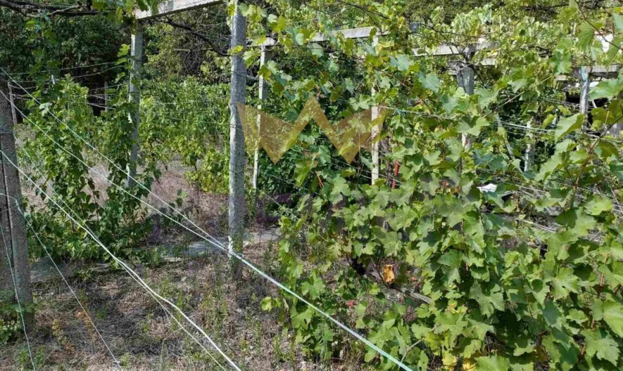 Къща м-т Манастирски рид -  - снимка 3 - Имоти Премиер