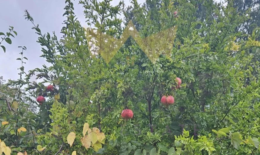 Къща Манастирски рид -  - снимка 8 - Имоти Премиер