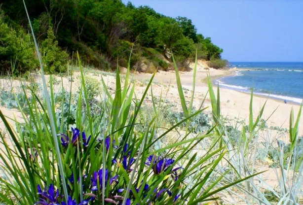 Агенция за недвижими имоти - Имоти Премиер - имот - 967554, Цена: 440000 EUR