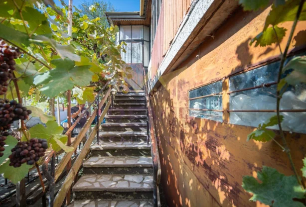 Агенция за недвижими имоти - Имоти Премиер - имот - 1250970, Цена: 98900 EUR