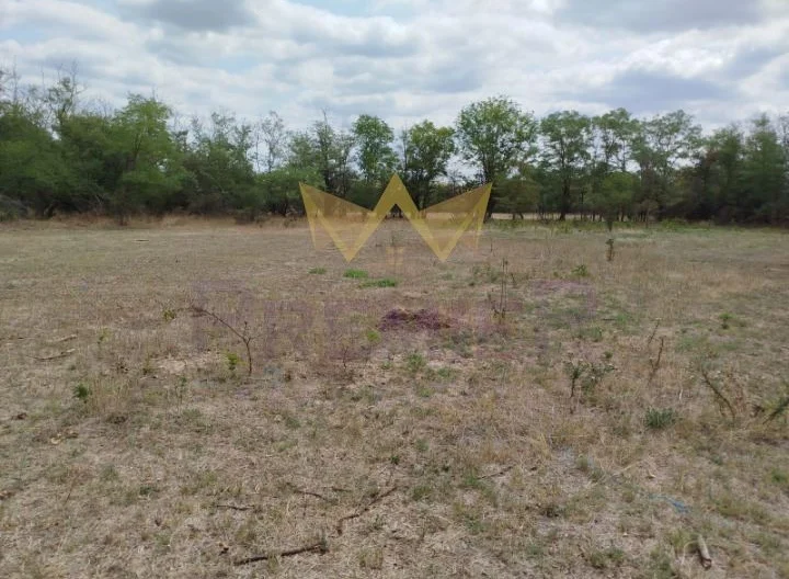 къща с голям двор и отлична локация в с. Искър, общ. Вълчи дол, обл. Варна -  - снимка 5 - Имоти Премиер