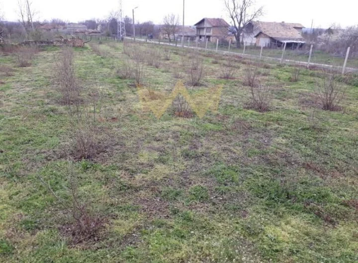 Къща с. Караманите, обл. Варна - - снимка 14 - Имоти Премиер