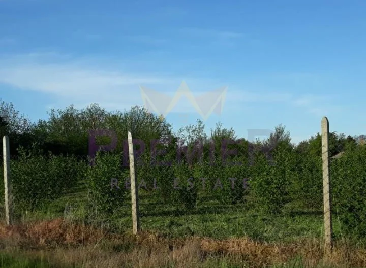 Агенция за недвижими имоти - Имоти Премиер - имот - 1036366, Цена: 26500 EUR