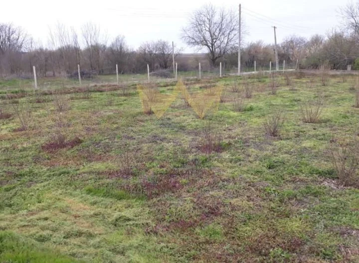 Къща с. Караманите, обл. Варна -  - снимка 4 - Имоти Премиер