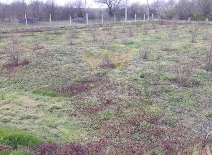 Къща с. Караманите, обл. Варна -  - снимка 5 - Имоти Премиер