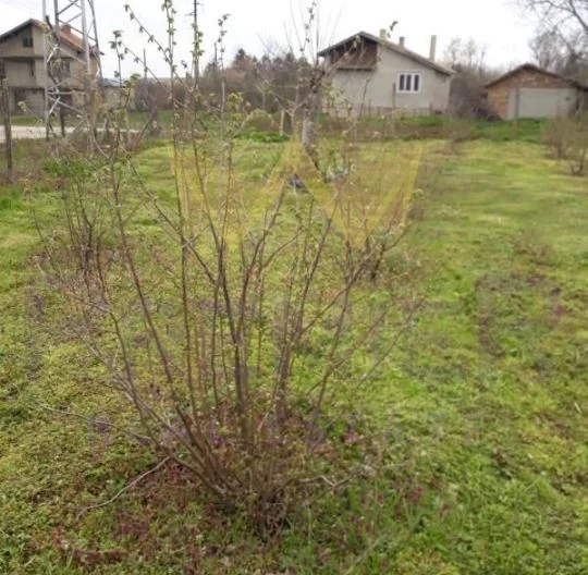 Къща с. Караманите, обл. Варна -  - снимка 7 - Имоти Премиер