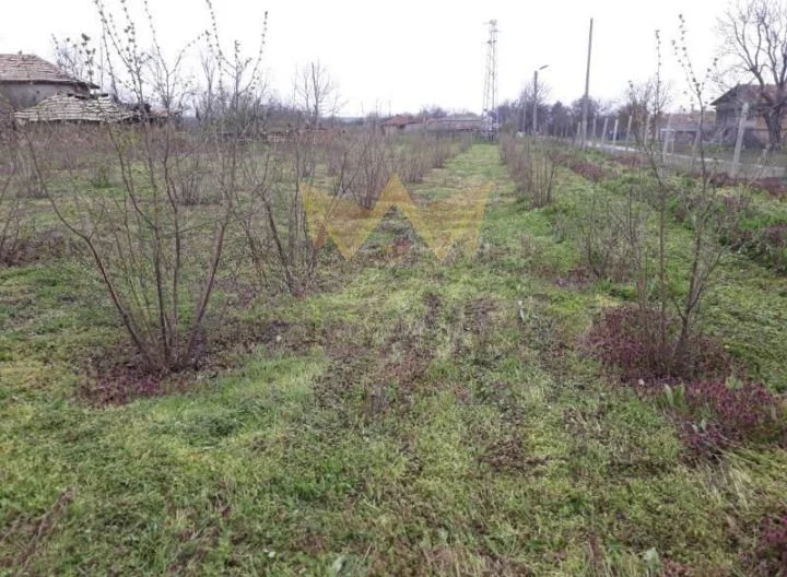 Къща с. Караманите, обл. Варна -  - снимка 8 - Имоти Премиер