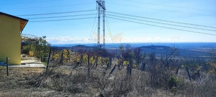 Къща с лозе и две сонди в гр. Българово – м. Лозницата: Панорама, чист въздух и огромен потенциал! -  - снимка 22 - Имоти Премиер