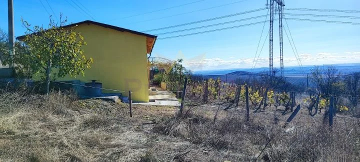 Къща с лозе и две сонди в гр. Българово – м. Лозницата: Панорама, чист въздух и огромен потенциал! -  - снимка 8 - Имоти Премиер