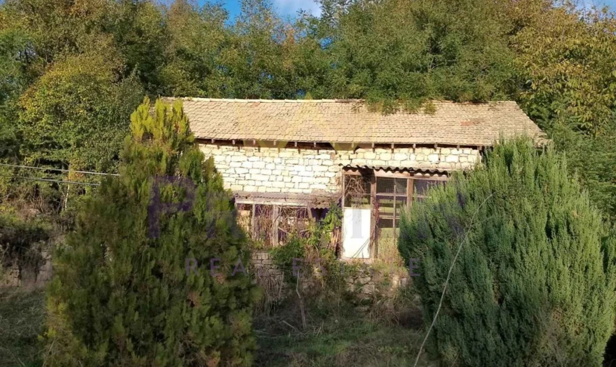 КЪЩА с. Радево -  - снимка 3 - Имоти Премиер