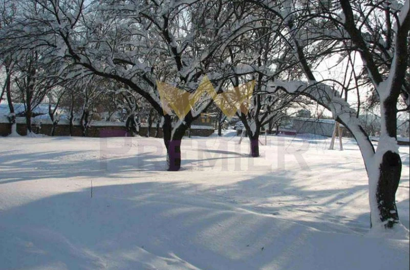 КЪЩА с. Сава -  - снимка 10 - Имоти Премиер