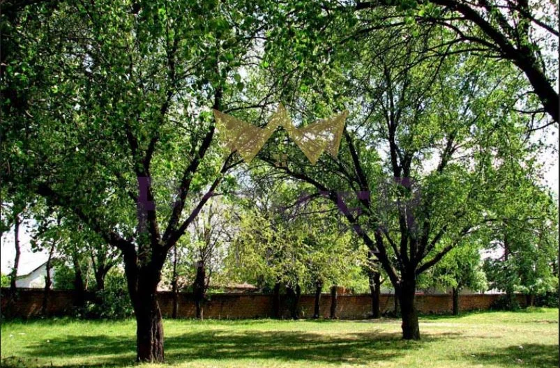 КЪЩА с. Сава -  - снимка 14 - Имоти Премиер