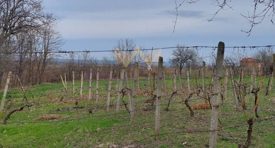 Къща с. Славейково, обл. Варна -  - снимка 15 - Имоти Премиер