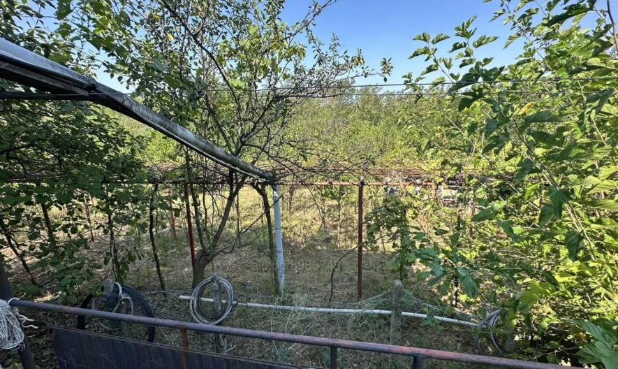 Къща с.Бенковски -  - снимка 5 - Имоти Премиер