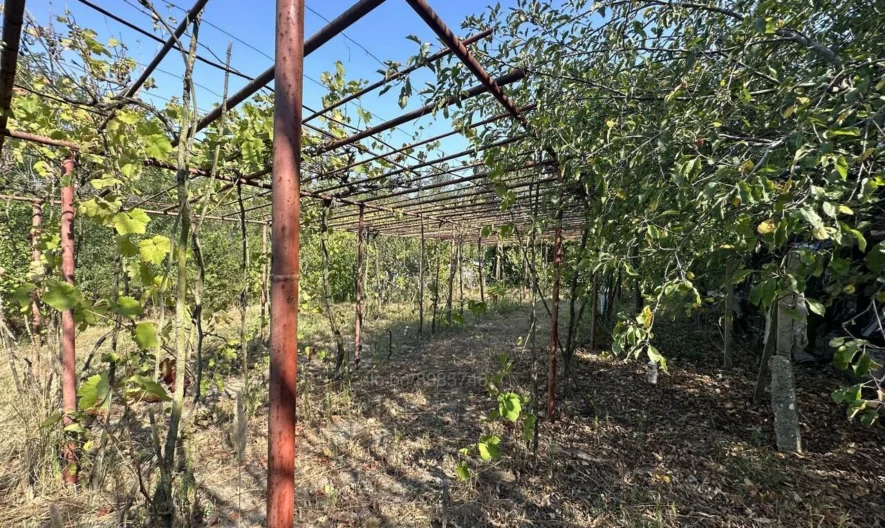 Къща с.Бенковски -  - снимка 6 - Имоти Премиер