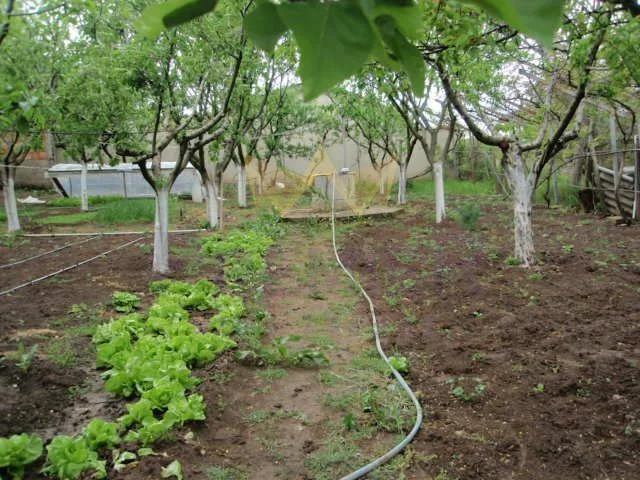 Къща с.Бенковски  – РЗП 285 –  двор 1200 кв.м. -  - снимка 16 - Имоти Премиер