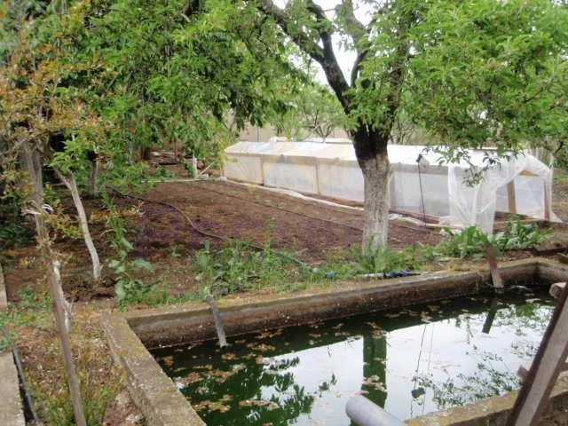 Къща с.Бенковски  – РЗП 285 –  двор 1200 кв.м. -  - снимка 18 - Имоти Премиер