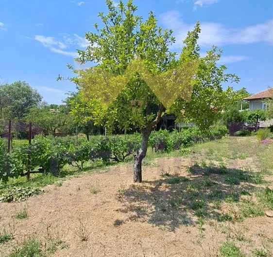 Къща с.Дъбравино, общ. Аврен, обл. Варна -  - снимка 17 - Имоти Премиер