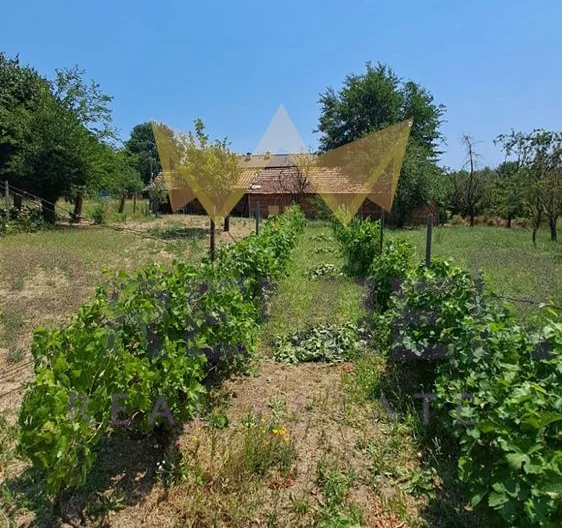 Къща с.Дъбравино, общ. Аврен, обл. Варна -  - снимка 18 - Имоти Премиер