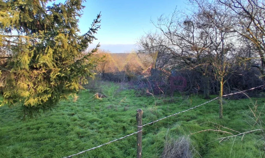 Къща село калиманци - - снимка 20 - Имоти Премиер