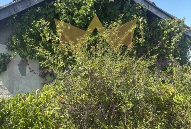 Агенция за недвижими имоти - Имоти Премиер - имот - 1074808, Цена: 62500 EUR