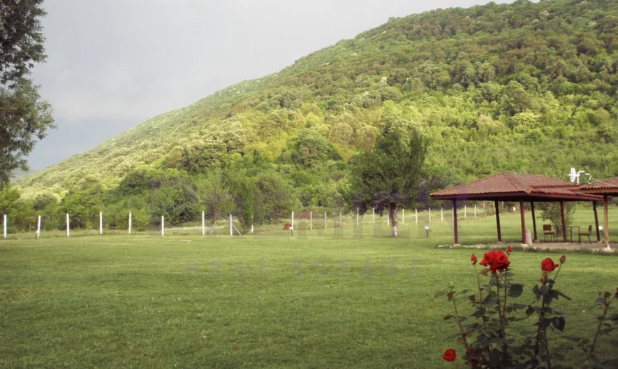 Къща в с. Аспарухово - - снимка 12 - Имоти Премиер