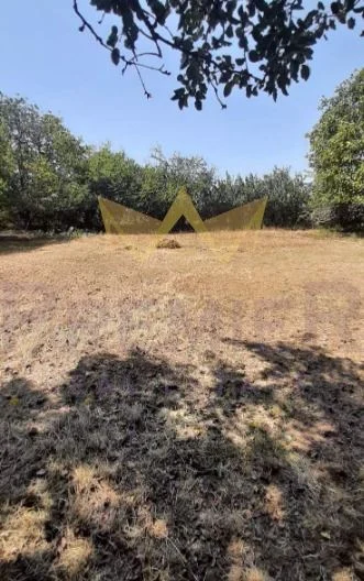 Къща в с. Доброплодно -  - снимка 4 - Имоти Премиер