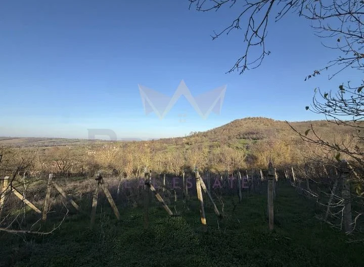 Къща в село Белила - - снимка 4 - Имоти Премиер