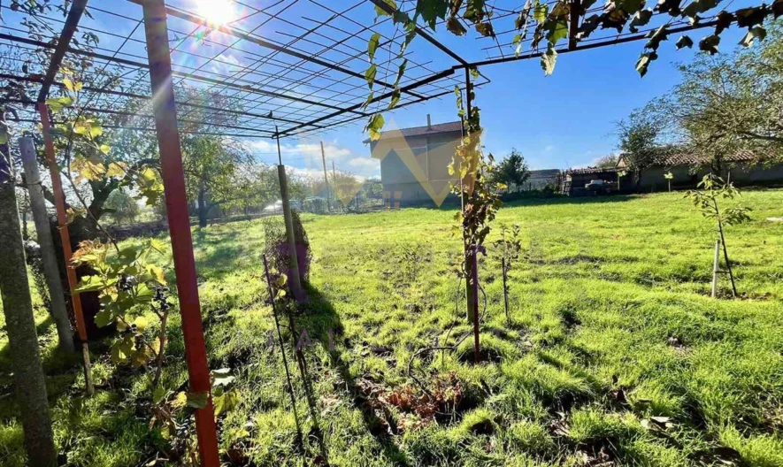 Къща в село Безводица -  - снимка 17 - Имоти Премиер