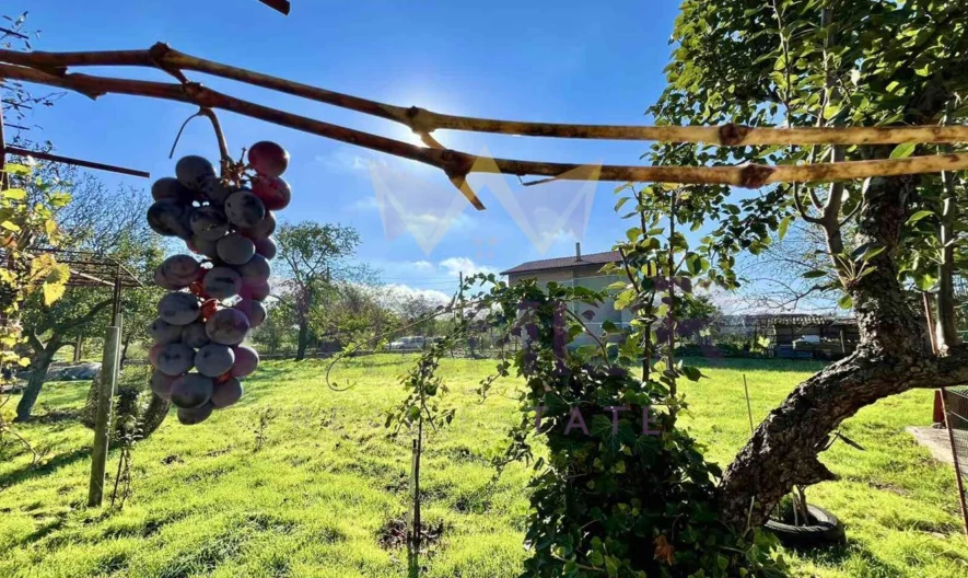 Къща в село Безводица -  - снимка 18 - Имоти Премиер