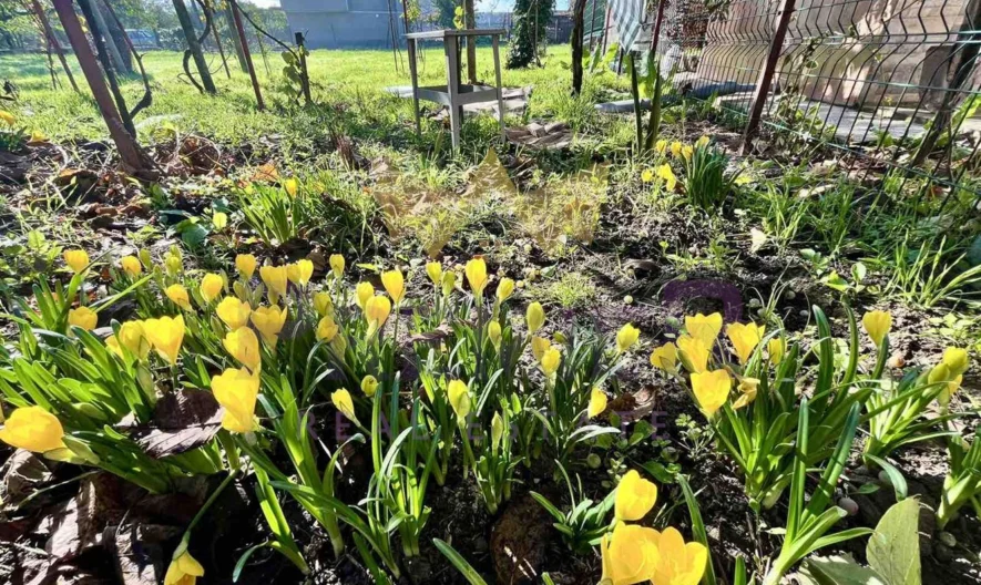 Къща в село Безводица -  - снимка 19 - Имоти Премиер