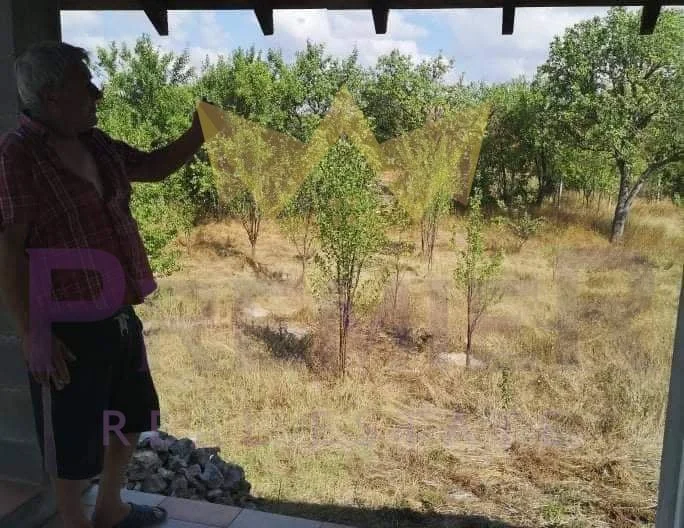 Къща в село Черноок -  - снимка 17 - Имоти Премиер