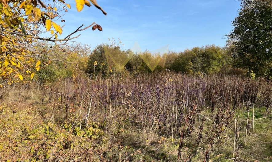 Къща в село Конаре - - снимка 10 - Имоти Премиер