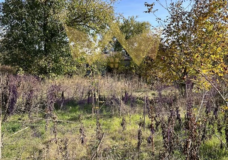 Къща в село Конаре - - снимка 7 - Имоти Премиер