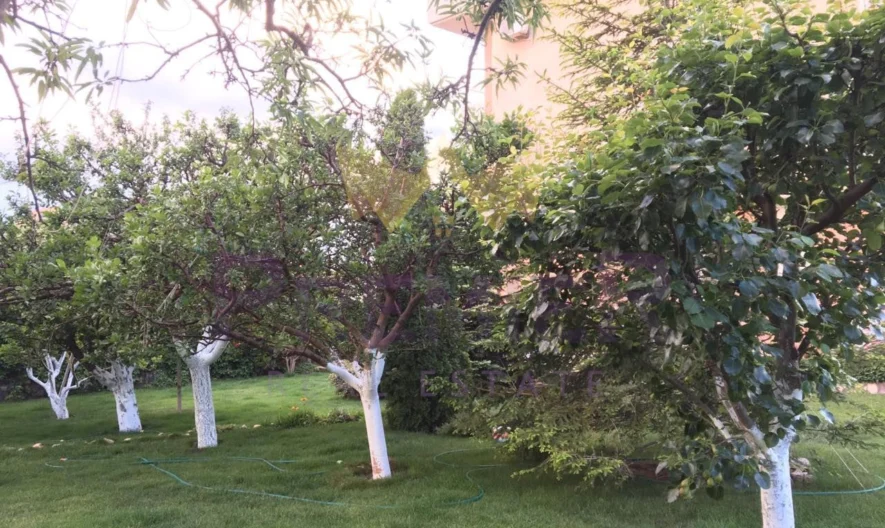 Къща в Свети Влас -  - снимка 11 - Имоти Премиер