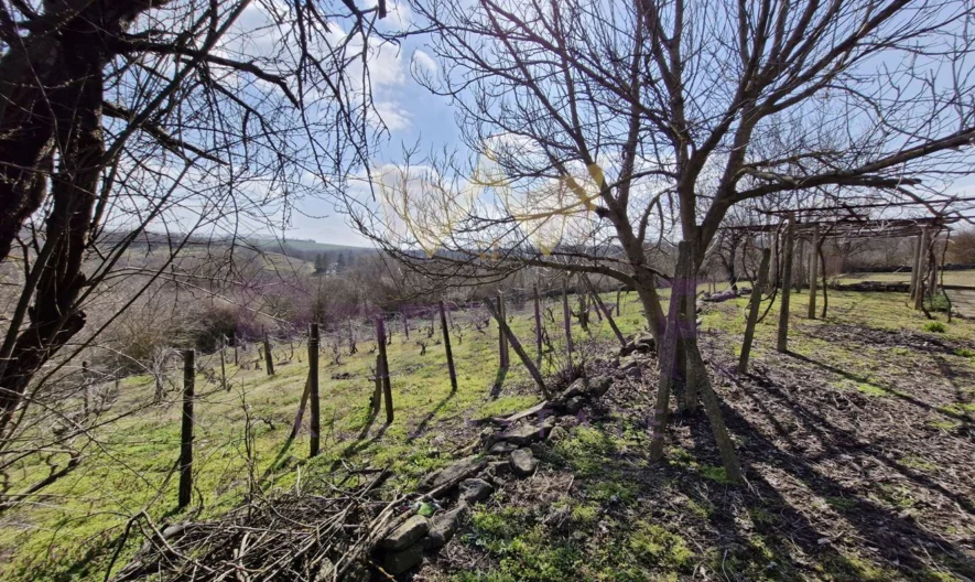 Къща в с.Житен -  - снимка 18 - Имоти Премиер