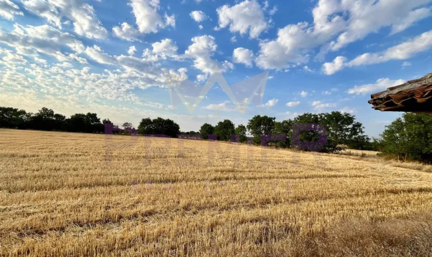 Къща в Змеево -  - снимка 16 - Имоти Премиер